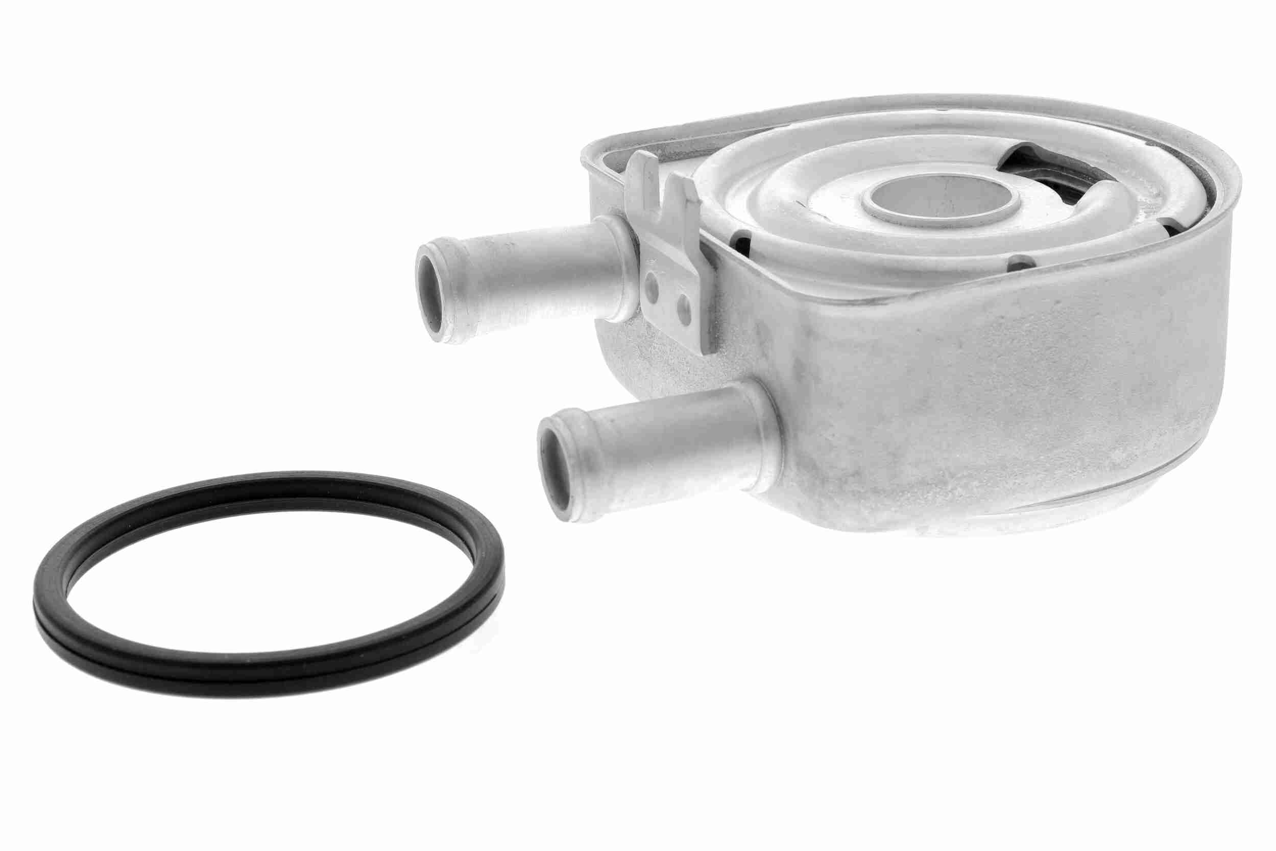 Radiatore olio, Olio motore - A52-60-0010 ACKOJA