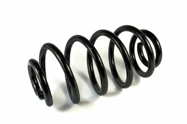 Coil Spring - SM091MT Magnum Technology