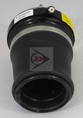 Ammortizzatore - DAS10024 DUNLOP