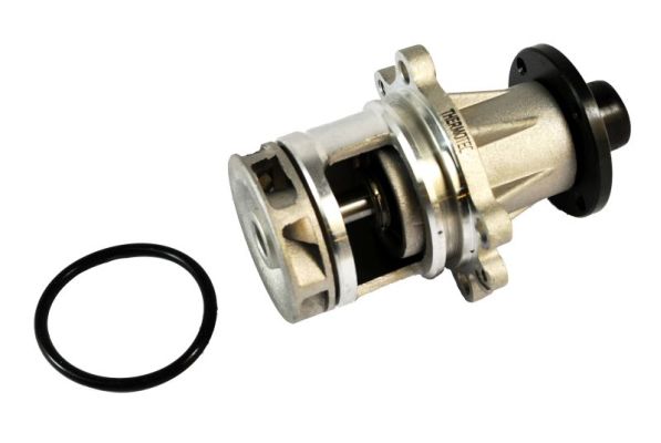 Water Pump - D1B011TT THERMOTEC