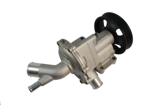 Water Pump - D1B029TT THERMOTEC