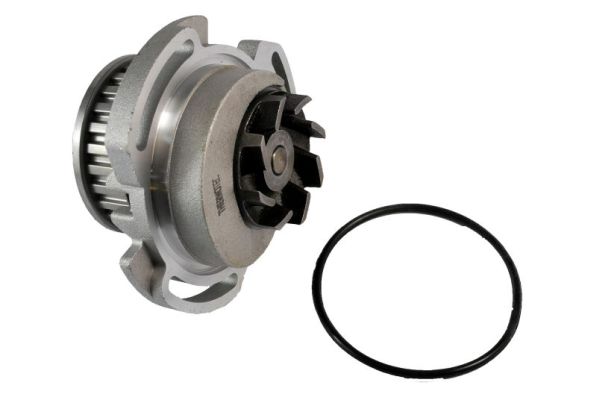 Water Pump - D1W003TT THERMOTEC