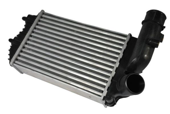 Intercooler, charger - DAF001TT THERMOTEC