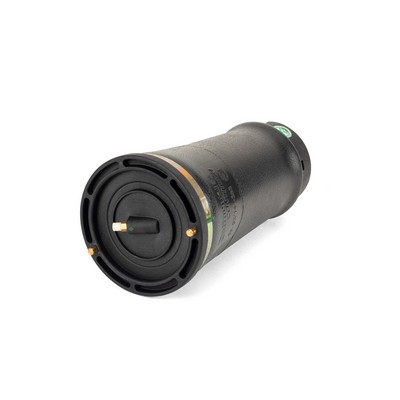 Molla pneumatica, Autotelaio - A-2202 Arnott