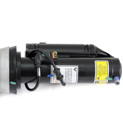 Air Spring Strut - AS-2193 Arnott