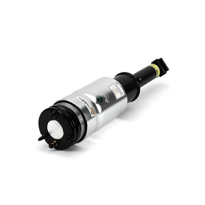 Gamba elastica con ammortiz. pneumatico - AS-2809 Arnott
