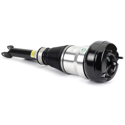Gamba elastica con ammortiz. pneumatico - AS-3358 Arnott