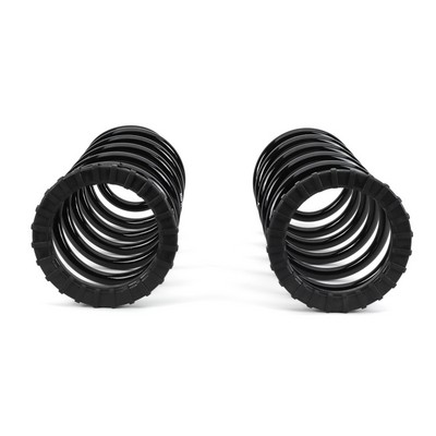 Suspension Kit, coil springs - C-2410 Arnott