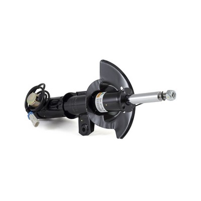 Shock Absorber - SK-3843 Arnott