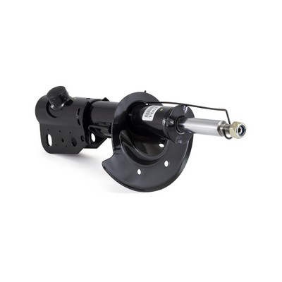 Shock Absorber - SK-3842 Arnott