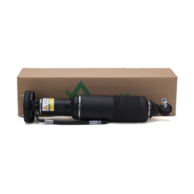 Gamba elastica con ammortiz. pneumatico - SK-2413 Arnott