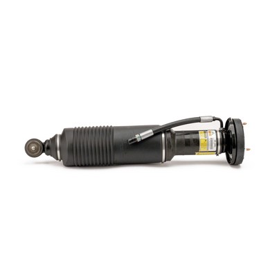 Gamba elastica con ammortiz. pneumatico - SK-2482 Arnott