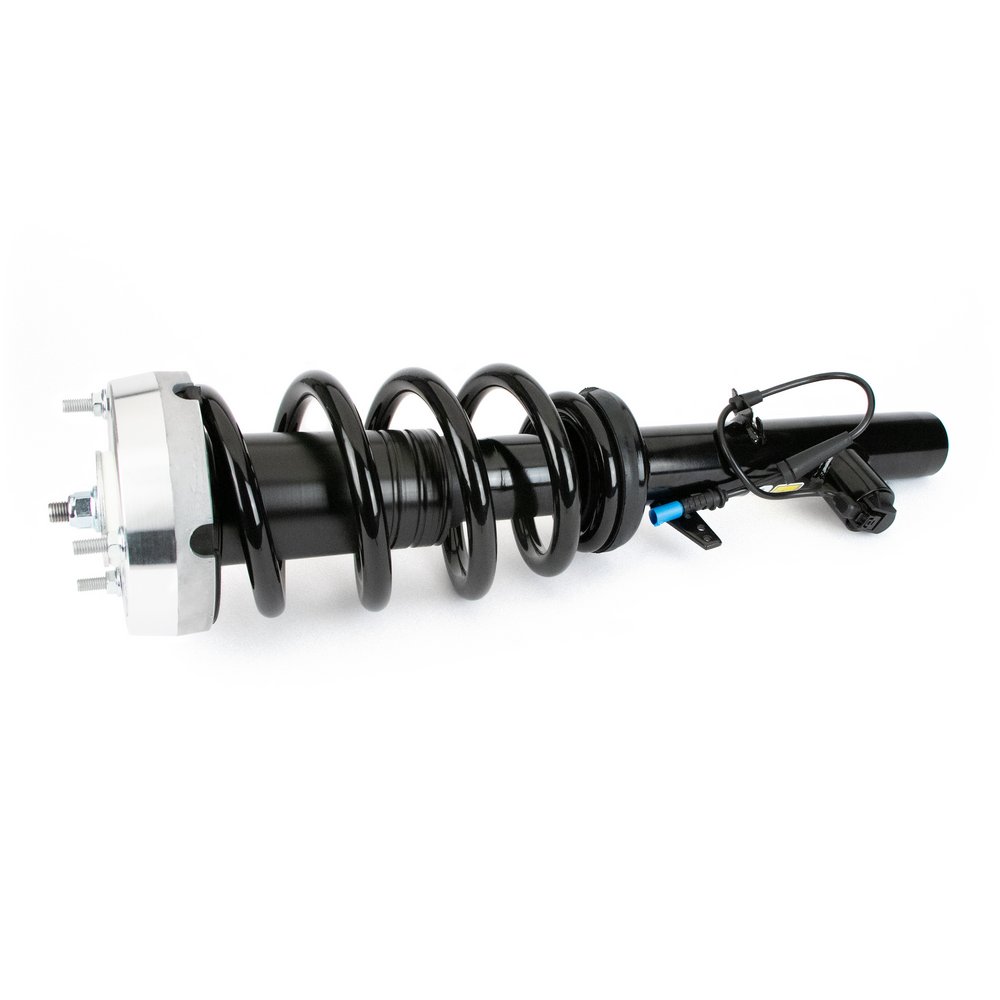 Shock Absorber - SK-3604 Arnott