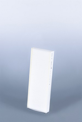 Filtro aria - AF25695 FLEETGUARD
