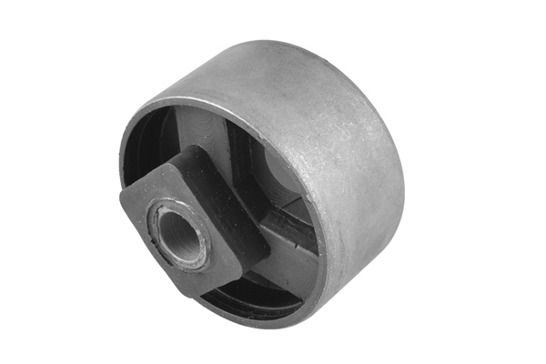 Mounting, differential - 00028546 TEDGUM