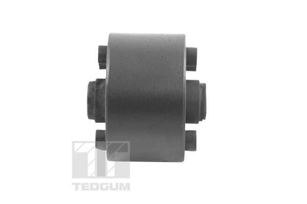Supporto, Differenziale - 00055708 TEDGUM