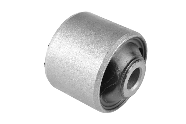 Mounting, differential - 00059920 TEDGUM