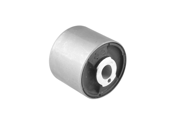 Mounting, differential - 00082043 TEDGUM