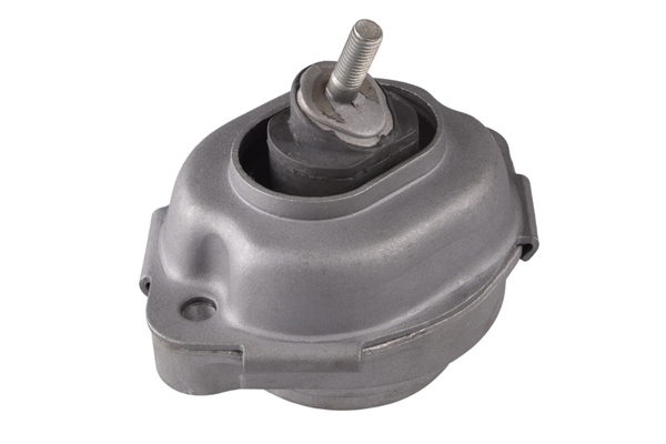 Sospensione, Motore - 00088396 TEDGUM