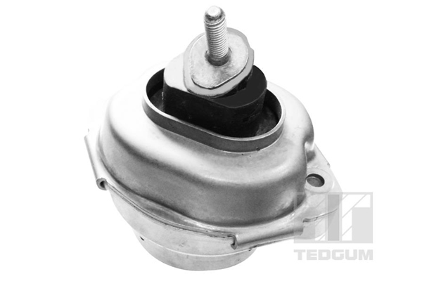 Sospensione, Motore - 00088466 TEDGUM