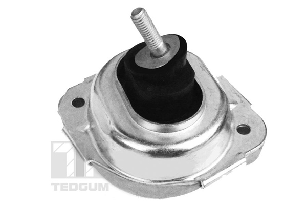 Sospensione, Motore - 00088550 TEDGUM