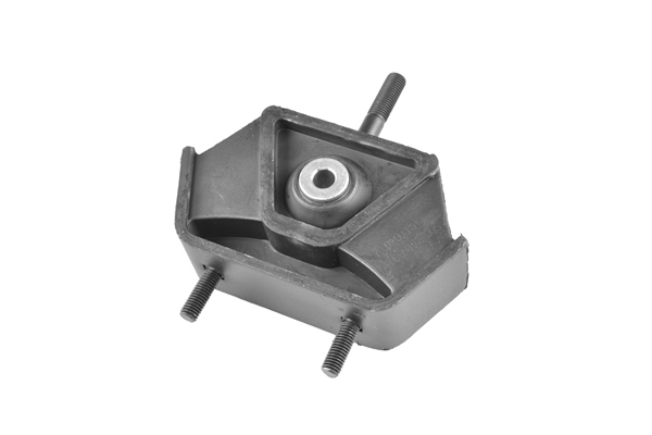 Sospensione, Motore - 00161278 TEDGUM
