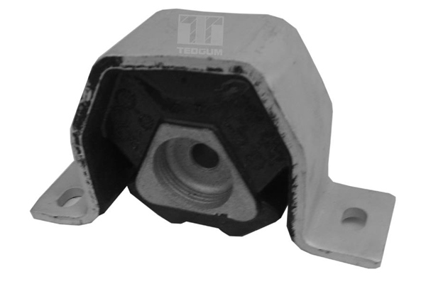 Sospensione, Motore - 00212975 TEDGUM