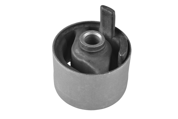 Sospensione, Motore - 00220525 TEDGUM