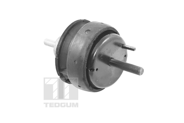 Sospensione, Motore - 00221186 TEDGUM
