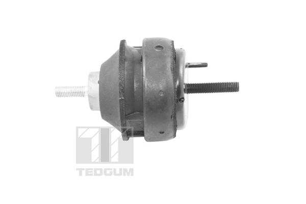 Sospensione, Motore - 00221186 TEDGUM