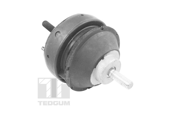 Sospensione, Motore - 00221186 TEDGUM