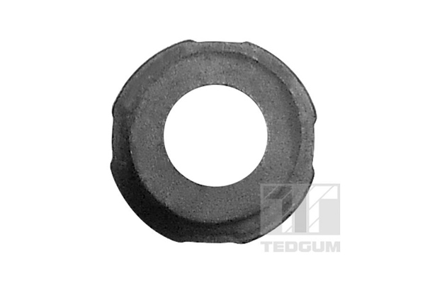 Подвеска, листовая рессора - 00284896 TEDGUM