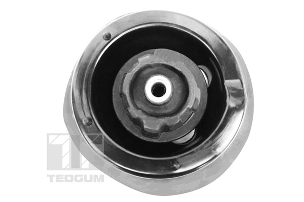 Опора стойки амортизатора - 00418499 TEDGUM
