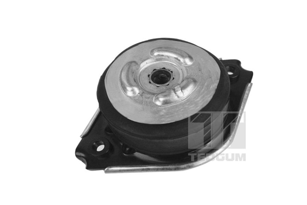 Sospensione, Motore - 00418536 TEDGUM