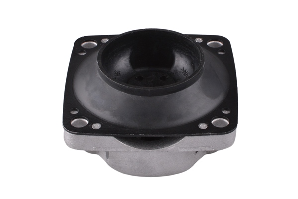 Supporto, Cambio automatico - 00418581 TEDGUM