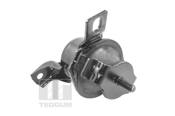 Sospensione, Motore - 00441120 TEDGUM