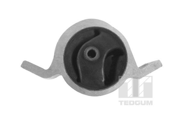 Подвеска, двигатель - 00466219 TEDGUM