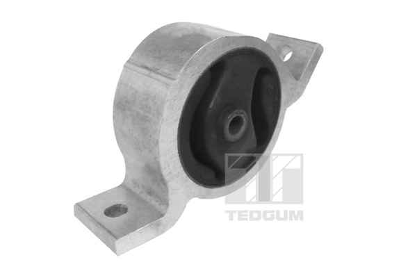 Sospensione, Motore - 00466219 TEDGUM