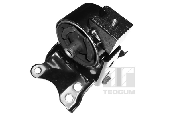 Sospensione, Motore - 00466350 TEDGUM