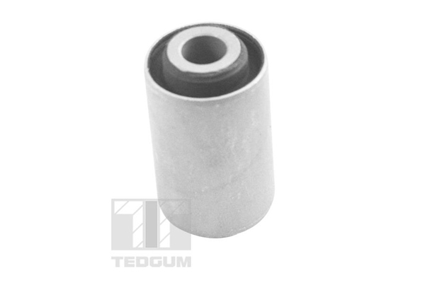 Mounting, leaf spring - 00506437 TEDGUM