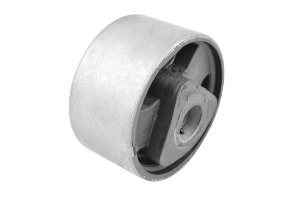 Sospensione, Motore - 00517264 TEDGUM