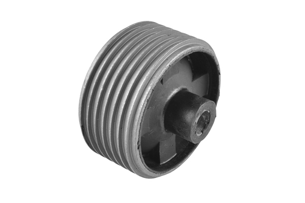 Sospensione, Motore - 00672943 TEDGUM
