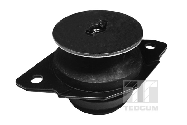 Mounting, manual transmission support - 00725600 TEDGUM