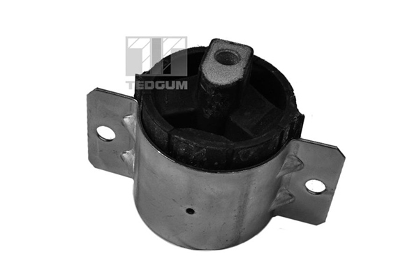 Mounting, manual transmission support - 00726345 TEDGUM