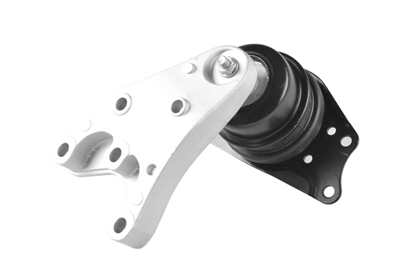 variklio montavimas - 00729391 TEDGUM