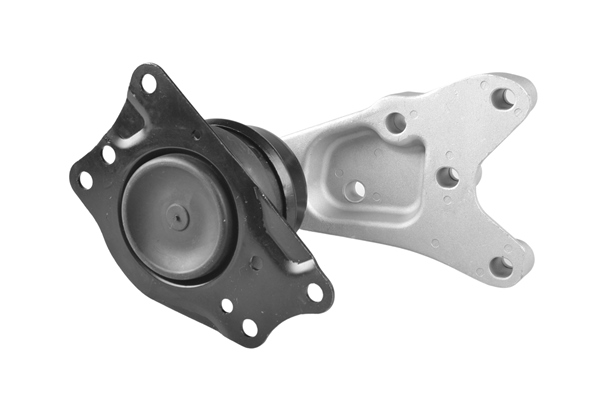 variklio montavimas - 00729391 TEDGUM