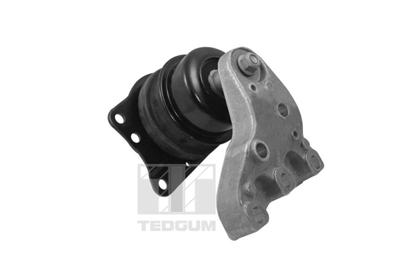 Sospensione, Motore - 00729417 TEDGUM