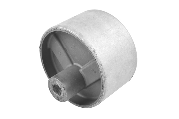 variklio montavimas - 00747819 TEDGUM