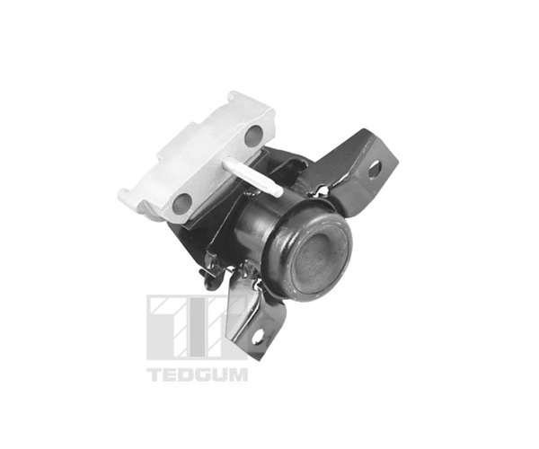 Engine Mounting - TED13922 TEDGUM