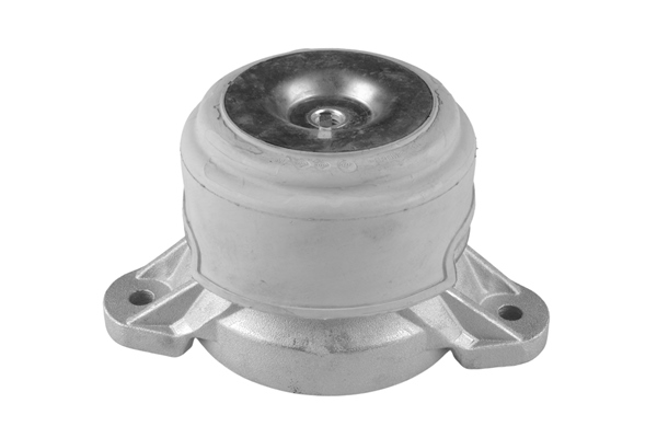 Engine Mounting - TED18700 TEDGUM